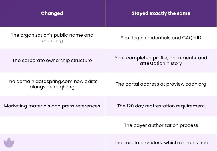 what changed after the rebrand 